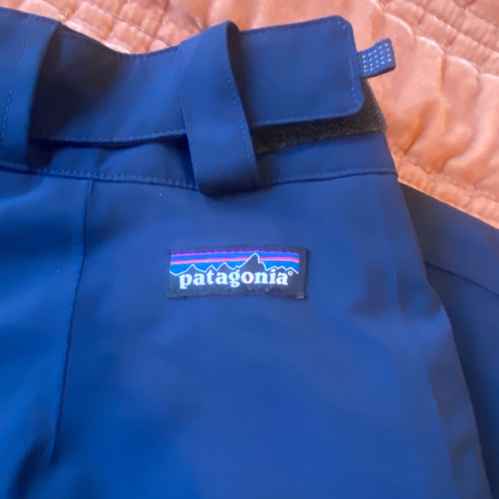 Like new Patagonia snow pants
